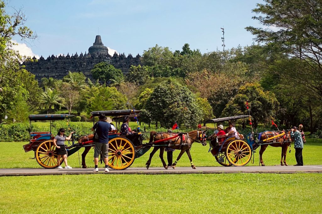 Tourists riding a horse-drawn carriage with Borobudur temple in the background