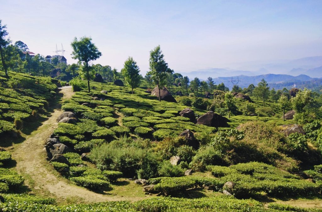 Pothamedu-View-Point