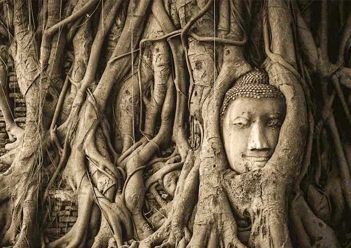 ayutthaya-historic-city-700-2