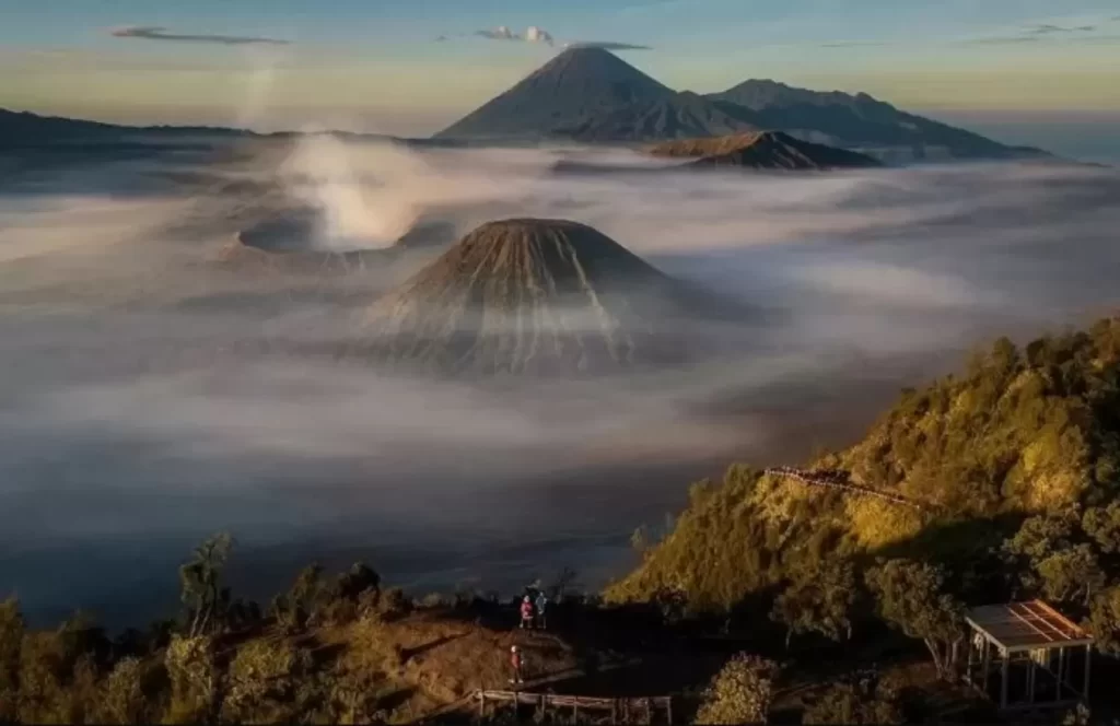 bromo-3463090154