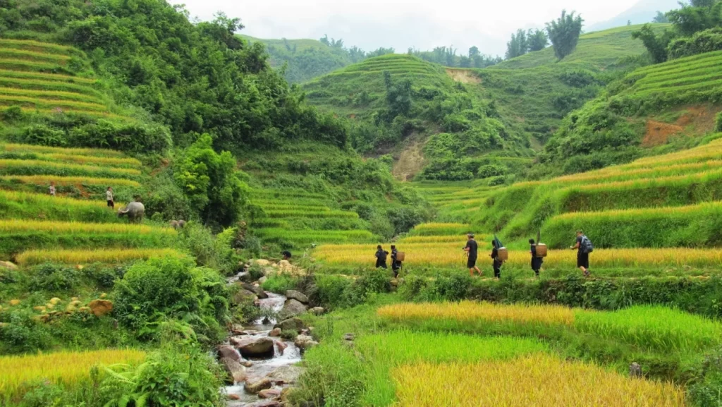 sapa-trekking2_1296x730xcrop
