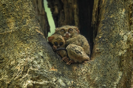 Explore Secret of Indonesia