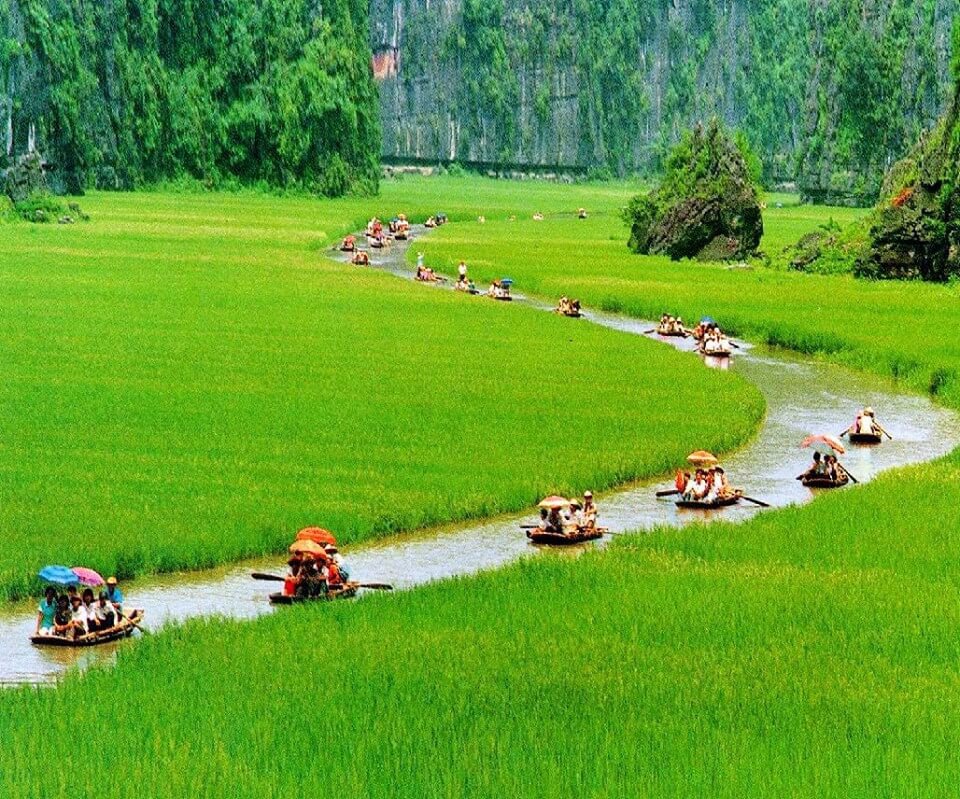 vietnam-tamcoc-rice