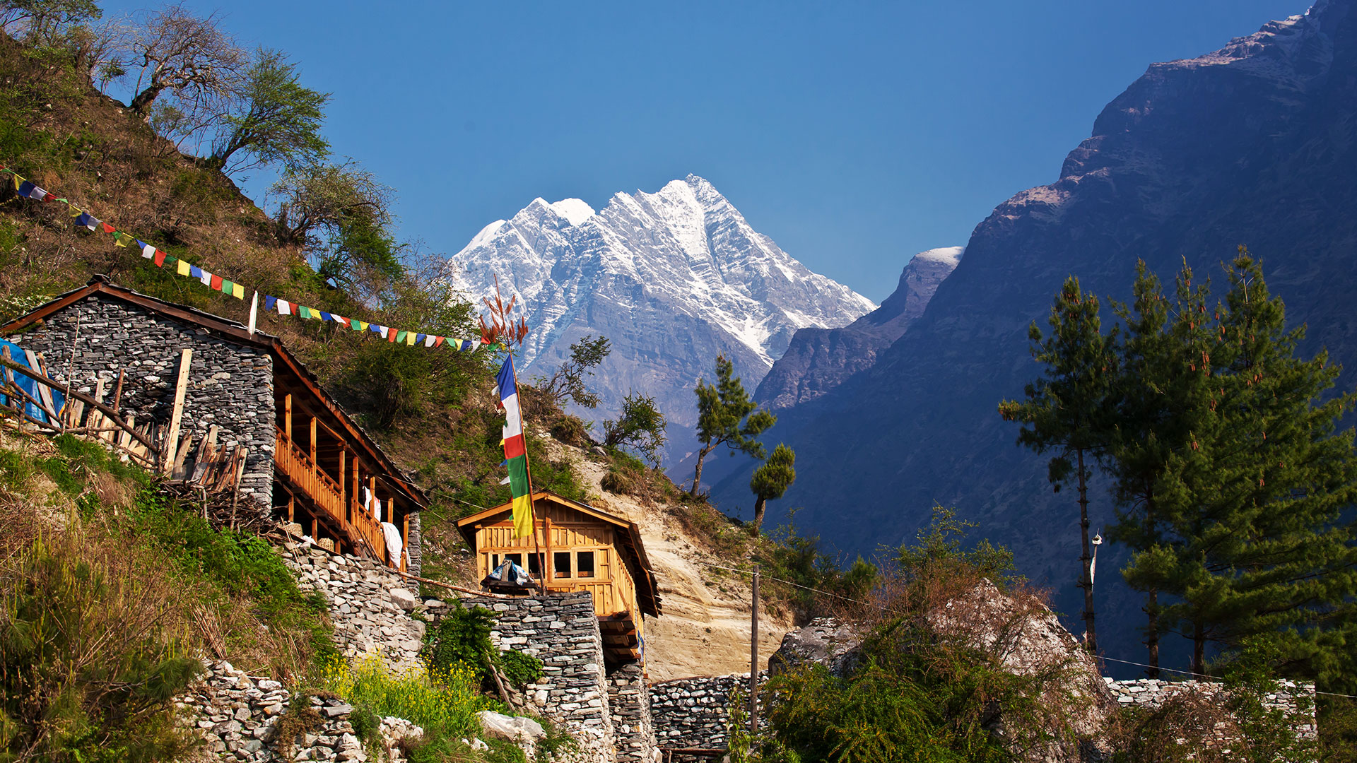 Scenic mountain village in the Himalayas with prayer flags and snow-capped peaks in the background, showcasing one of the best things to do in Nepal — trekking and exploring remote mountain trails.